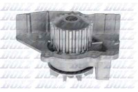 Dolz C117 Wasserpumpe For CitroËN Fiat Hyundai Lancia Peugeot Rover Suzuki