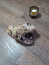 Driftwood So Cal CA Beach Ocean Wood Sculpture Art Landscape Decor Many Angles