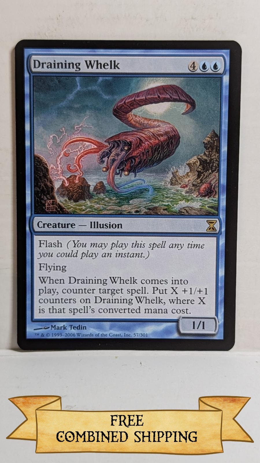 Draining Whelk Time Spiral ...sku: CD952