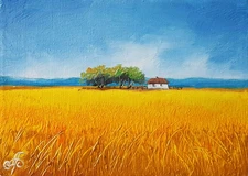 Original Oil Landscape Painting Impressionist Art Canvas Hand Painted Field Sky