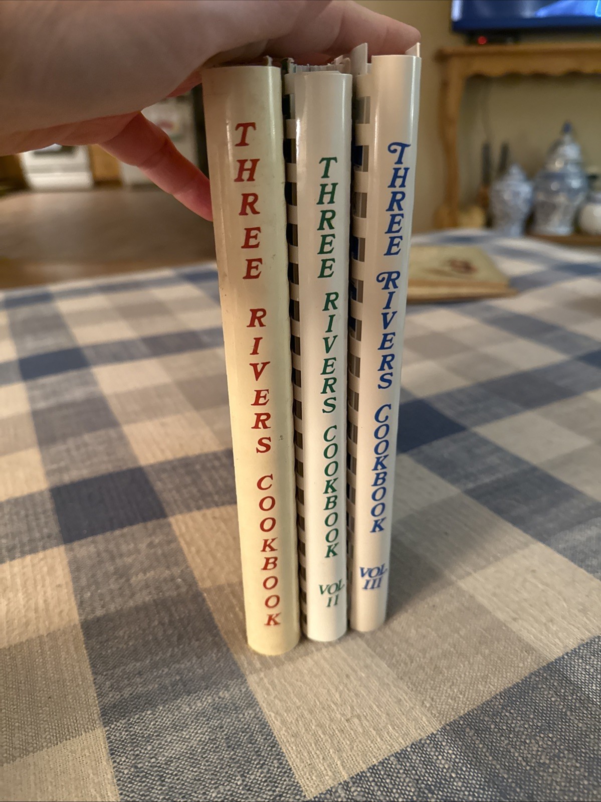 Three Rivers Cookbook Volumes 1, 2, 3 - Taste of Pittsburgh - Vintage Recipes VG