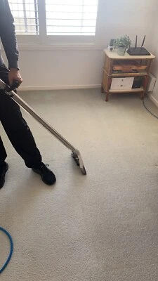 Ausgo Clean The Power Of Steam Carpet Couch Curtains Mattress