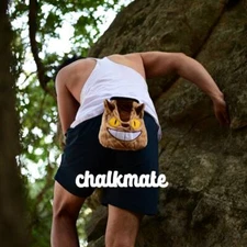 Catbus Chalk Bag (Totoro)