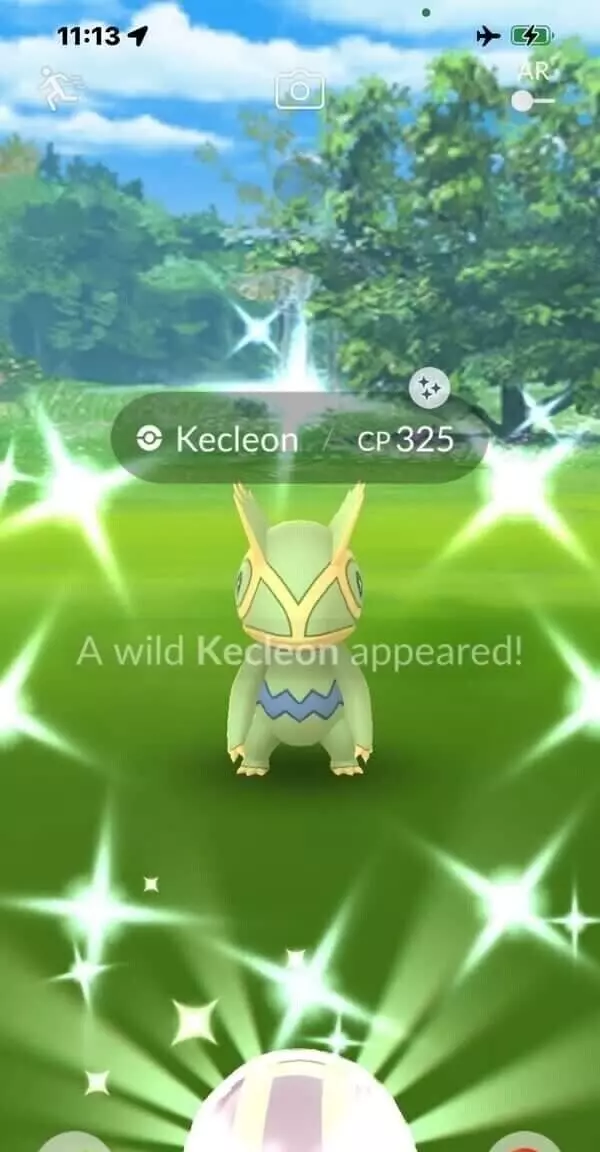 Pokemon Shiny Kecleon Mini P T C 60k