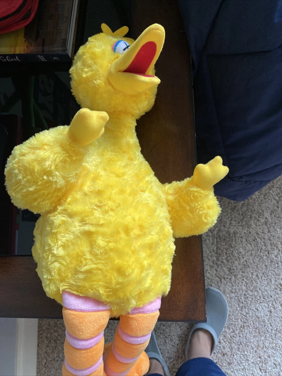 Kaws sesame sales street big bird