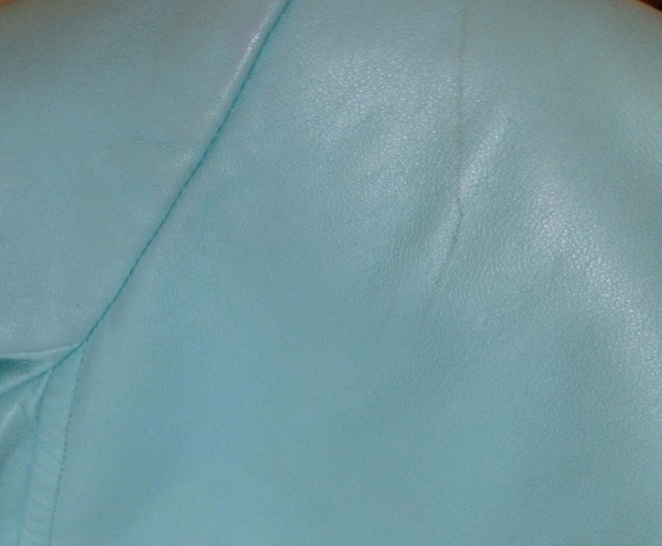 895 $ Dana Buchman aqua синий мягкой кожи размер 2p молнии Куртка Пальто - Изображение 3 из 4