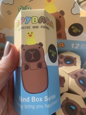 CAPYBARA Decorative Mini Figure X 1 Blind Box Figurine! | eBay
