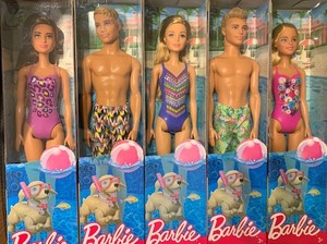 barbie beach set