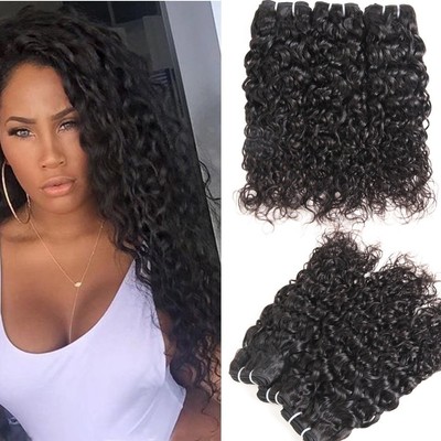Malaysian Water Wave Virgin Curly Hair Wet And Wavy Human Hair