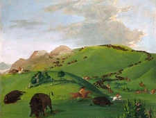 Oil painting George-Catlin-Buffalo-Chase-Mouth-of-the-Yellowstone horseman art