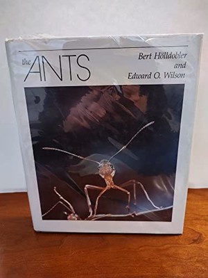 The Ants, Bert