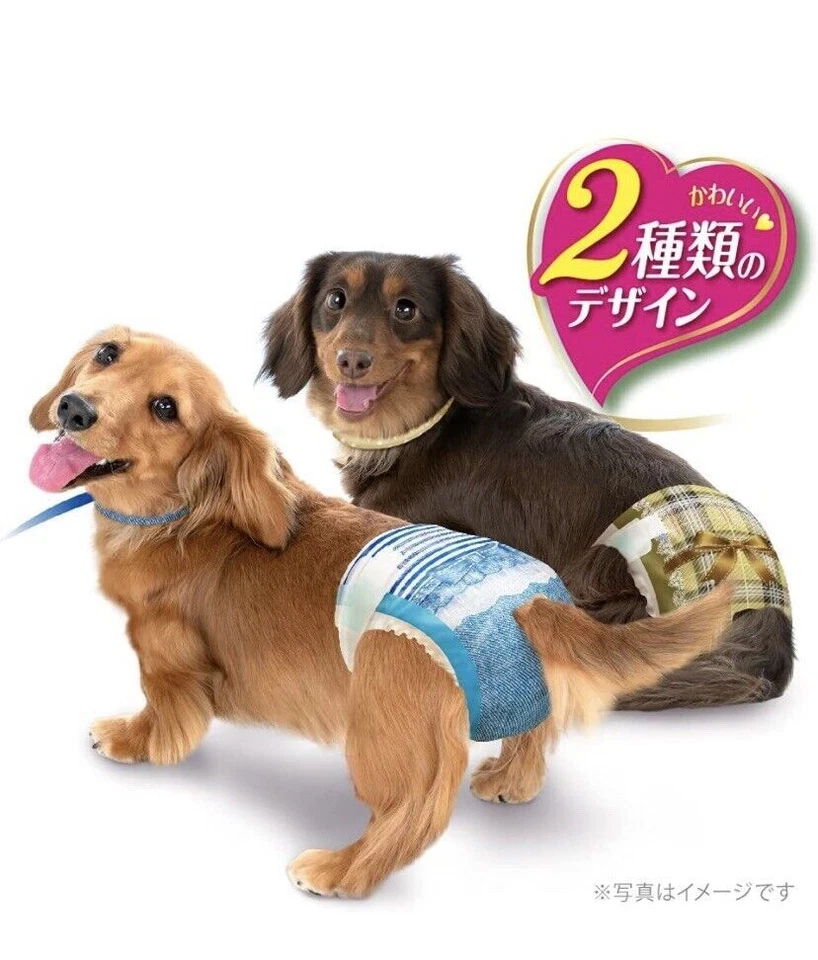 Couche jetable UniCharm pour chien pour fille, manière de porter, taille... - Photo 2/4