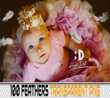 100 FEATHERS TRANSPARENT PNG DIGITAL PHOTOSHOP OVERLAYS BACKDROPS BACKGROUNDS