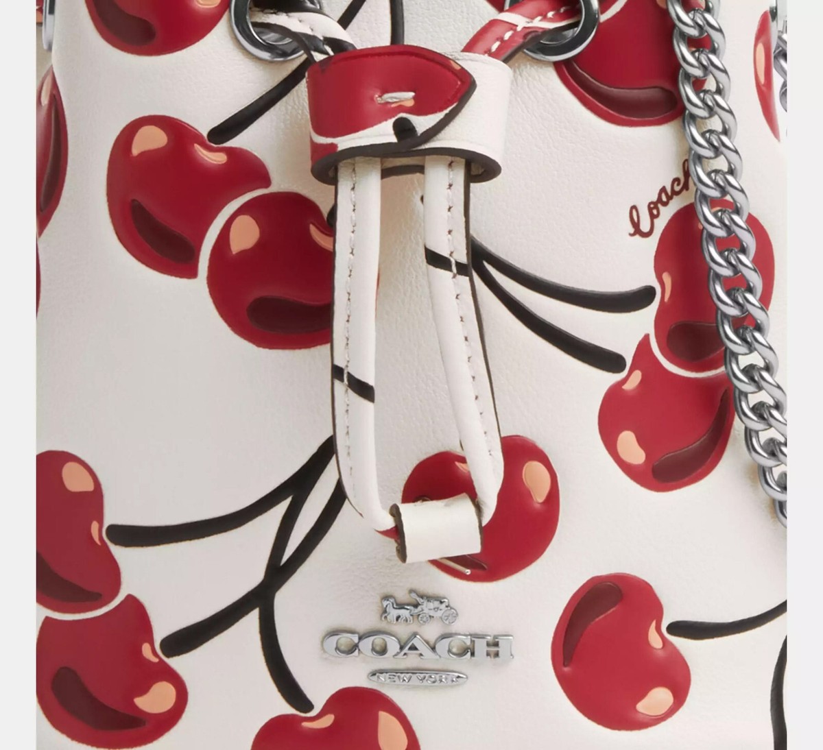 ショルダーバッグ・ポシェット COACH Drawstring Wristlet With Cherry Print CZ030 s-l400.jpg