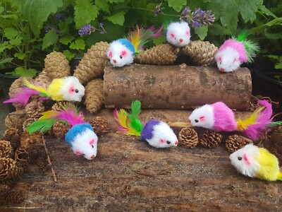 Katze Maus Spielzeug Rassel Plüsch (4er Pack) Federschwänze Katzenminze Spielzeug Katze Übung Spielen