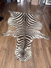 Full Size Zebra Skin Rug Hide vintage hide, with head And Tail 77  x 110  