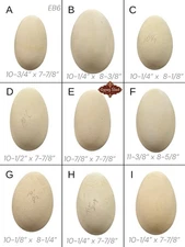 9 Empty VTG 10” LG Blown Goose Eggs Blown White Shell Pysanky Butterk Two Hole