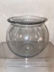 betta fish and ping pong ball