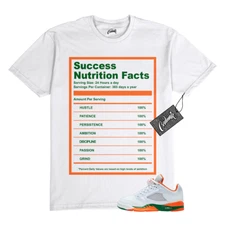 5 Miami Hurricanes Brilliant Orange Pine Green Dunk T Shirt for SUCCESS Jordan