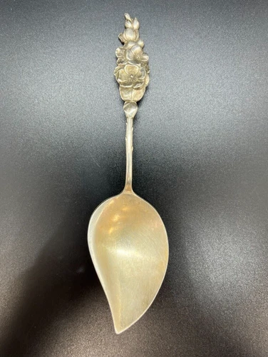 Reed & Barton  Harlequin Floral Jelly Dessert Server Spoon