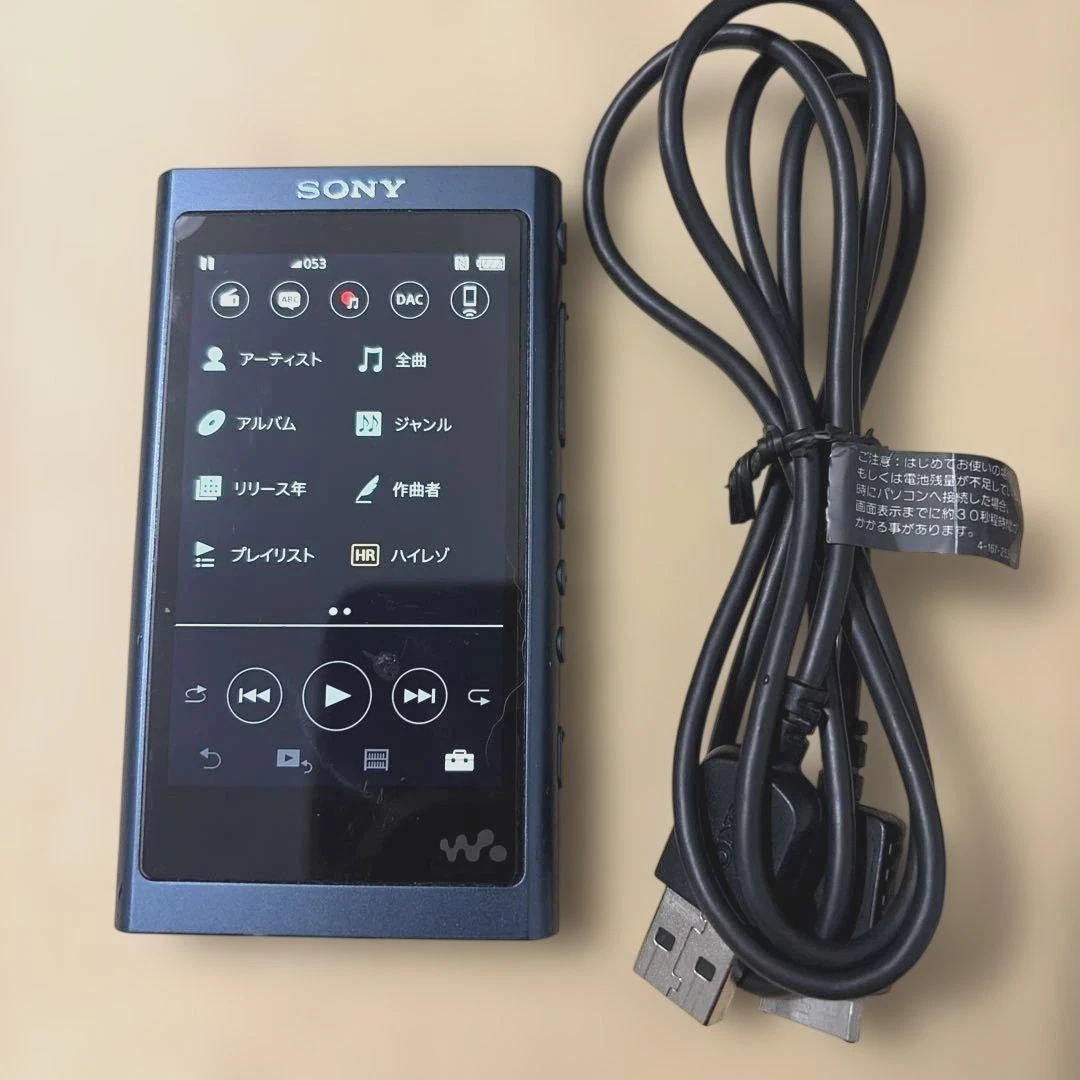 Sony Walkman NW-A55 Horizon 16 Go Lecteur Audio Hi-Res Bluetooth Fonctionne