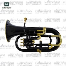 Bb 4-Valve Euphonium Brass Musical Instrument with Mouthpeice and Hardcase