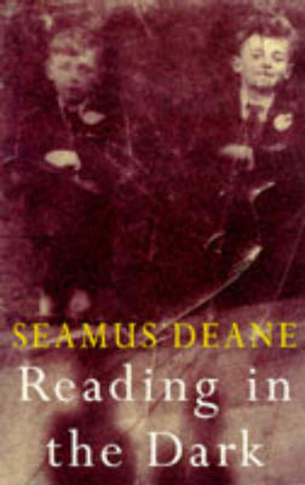 Seamus Deane: Reading in the Dark [1996] hardback