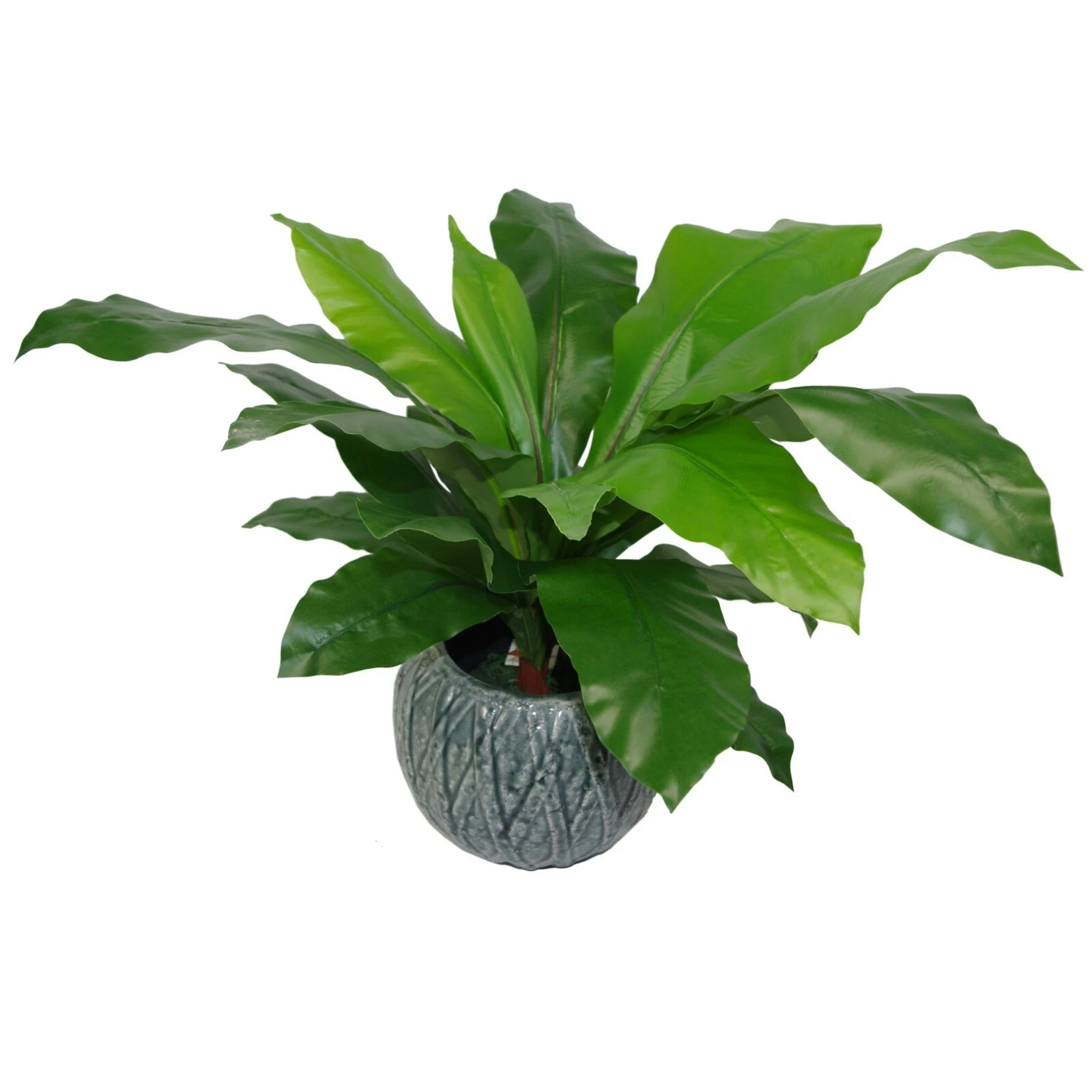 60cm Fern - 7050