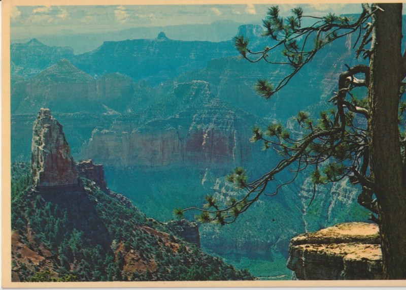 Unposted Vintage Postcard "Grand Canyon National Park, Arizona"