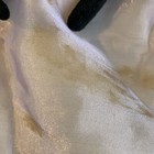 Bild 11 von 12