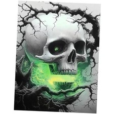 Skull Diamond Art Kits for Adults Halloween - 5D Horror Painting - QD54