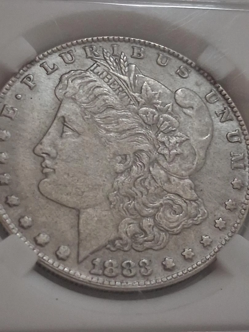 1883 Year Morgan US Dollars (1878-1921) for sale | eBay