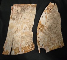 Vintage white Birch bark pieces Lot of 2 -- 10" X 5" 9" X 4-1/2"