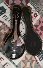 J Reynolds Mandolina JRMAN 30 z etui, wybierz