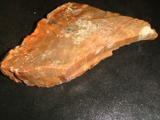 OLD RAINBOW PETRIFIED WOOD ROUGH SPECIMEN 1 3/4 POUNDS ARIZONA