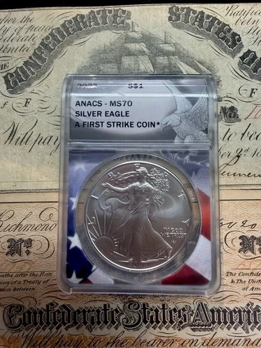 2023 American Silver Eagle — photo from the most recent tracked eBay sale