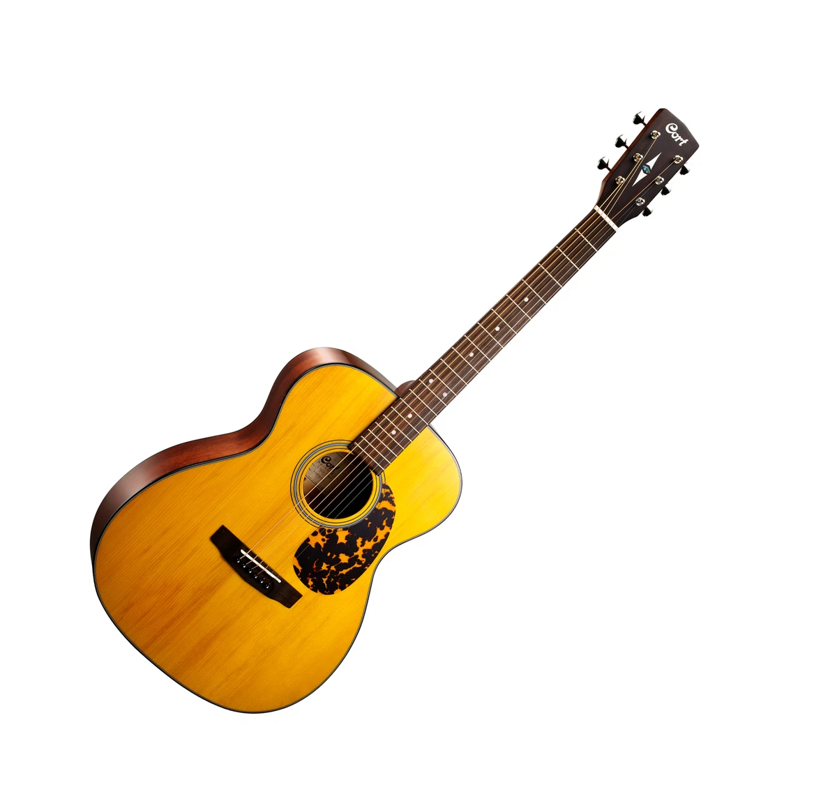 Cort acoustic guitar sale with fishman pickup