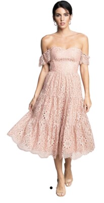 dress the population river dress DRESS THE POPULATION River Lace Off the Shoulder Fit & Flare Dress Flowy  Ruffle