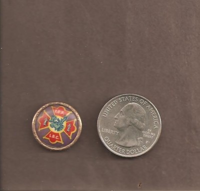 Antique Celluloid LBC IOF Independent Order of Foresters Badge Pin Medal 