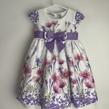 Blueberi Boulevard Baby Girl Dress Sz 24 Months