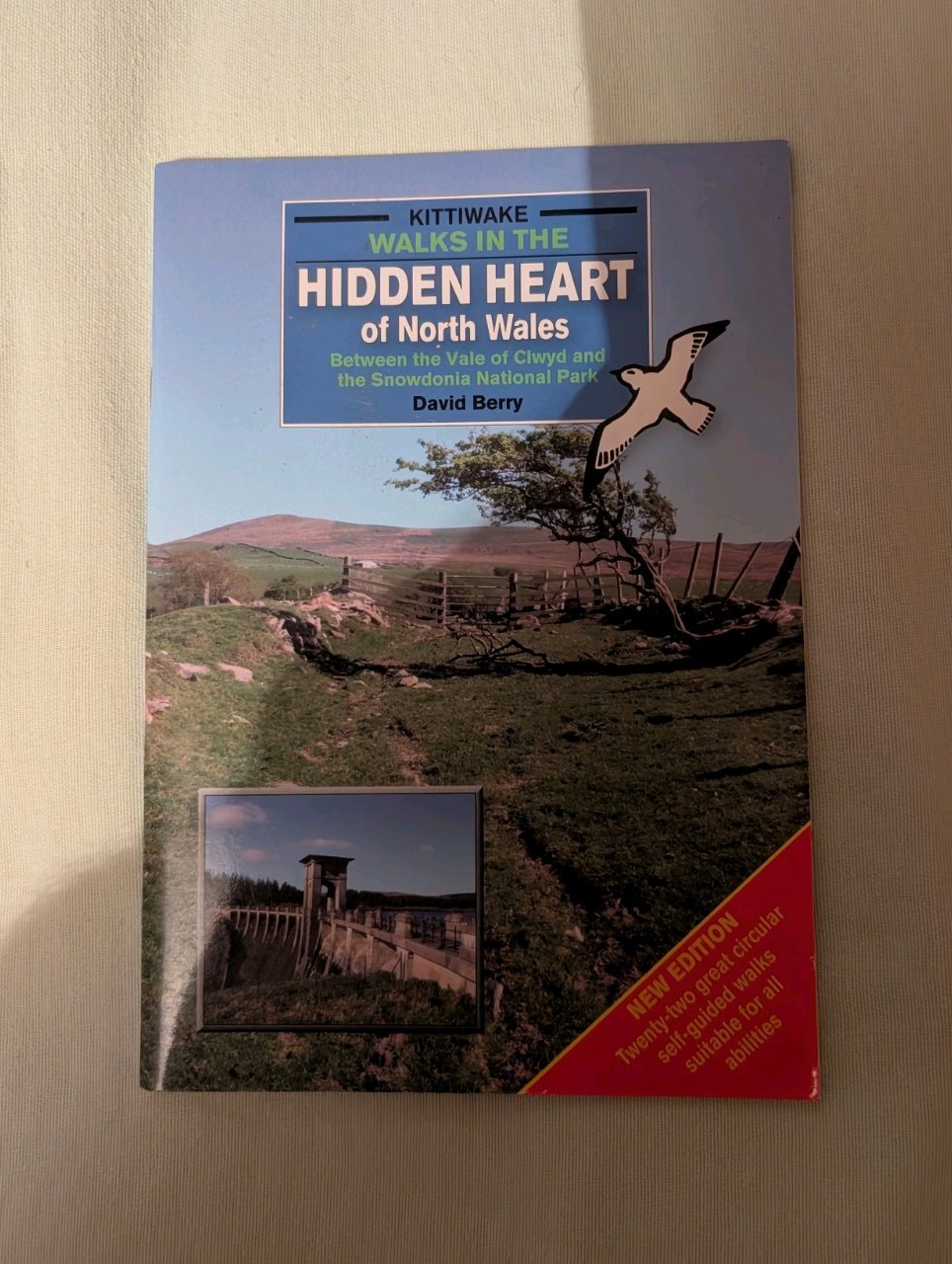 WALKS IN THE HIDDEN HEART OF NORTH WALES GUIDE BOOK BY DAVID BERRY VGC (B5)