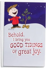 DaySpring - Peanuts - Good Tidings Great Joy - 50 Bulk Christmas