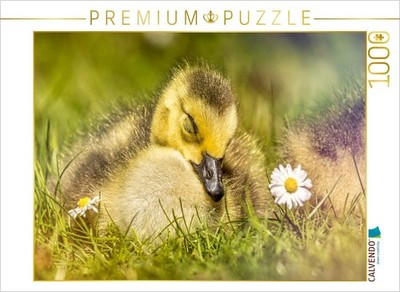 CALVENDO Puzzle Dieses Bild strahlt Ruhe und Frieden aus. Das schlafende Entlein