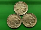 1937 PDS Buffalo Nickel Set. Full Horns. Actual Coins.