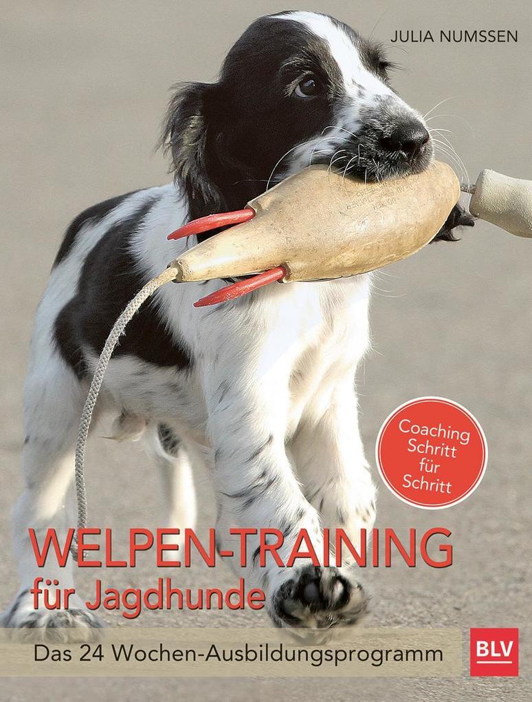 Thumbnail - Welpen-training Für Jagdhunde | Julia Numßen | 2016 | Deutsch