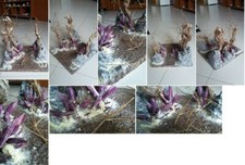 Diorama Saint Seiya Asgard Foresta di Megres