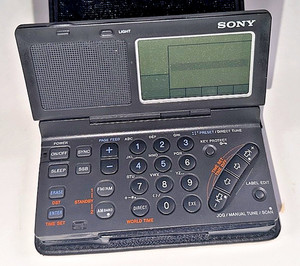 Sony SW 100 | eBay