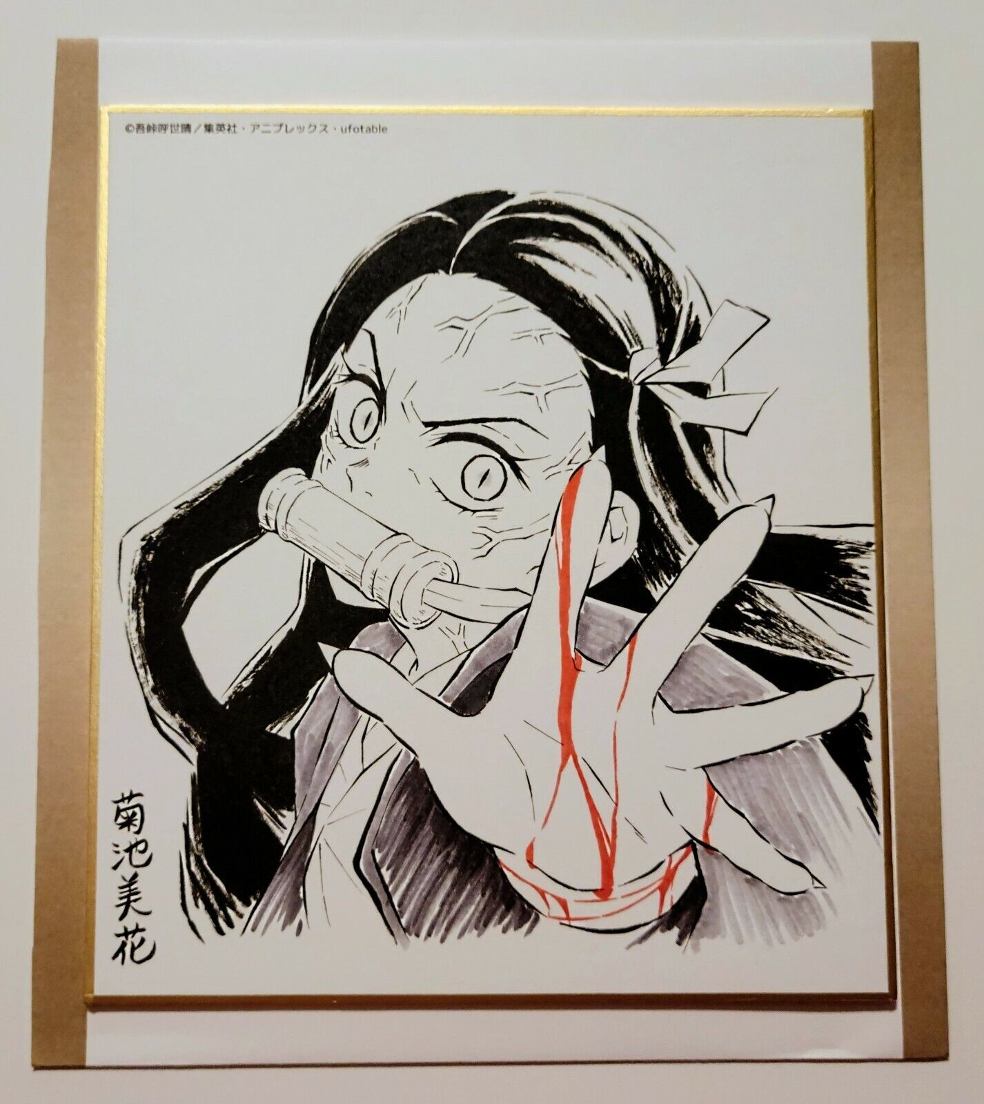 Kimetsu no Yaiba Drawing Paper Mini Shikishi Tanjiro Nezuko