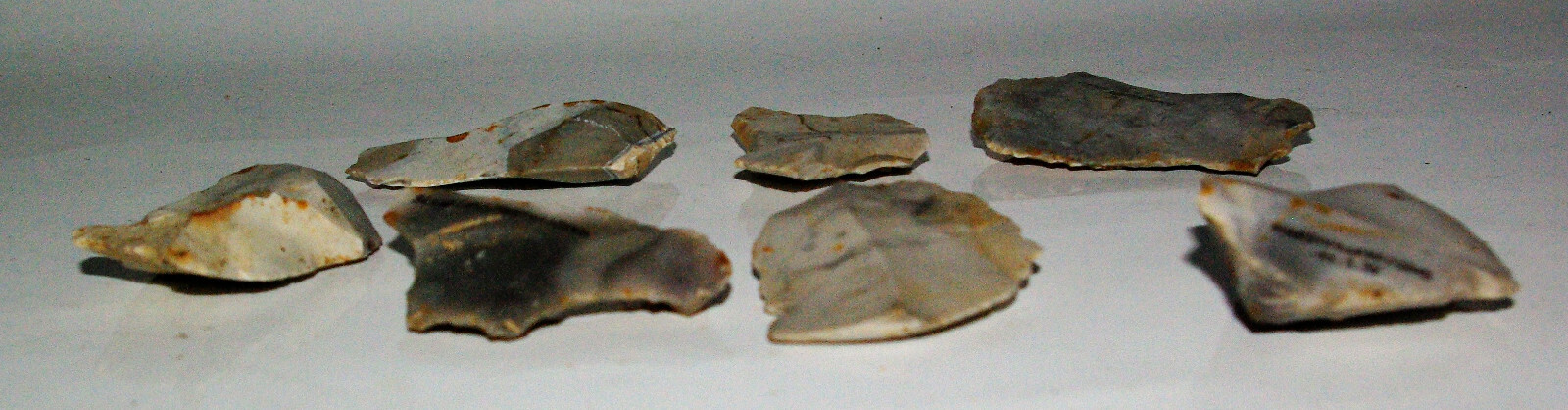 Picture 11 of 11
