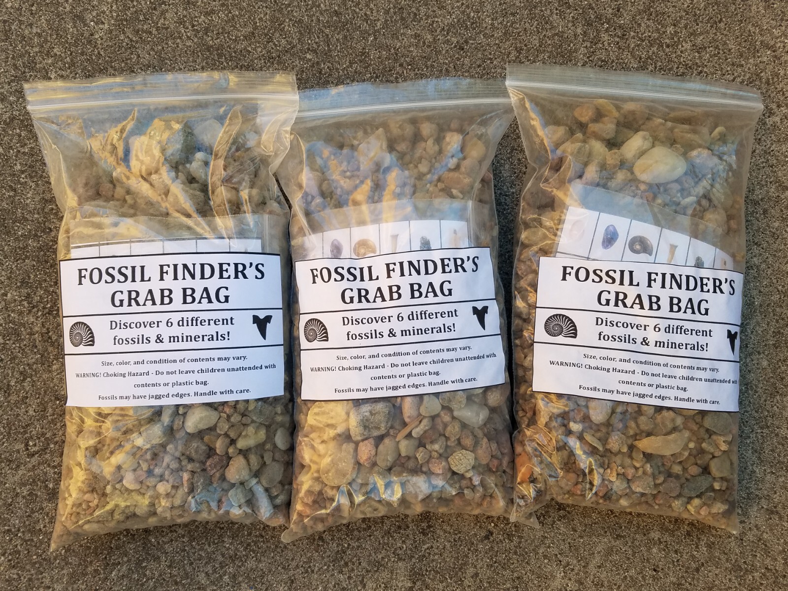 Fossil Finders Grab Bag SMALL lot of 3 shark tooth mineral collecting dig kit eBay